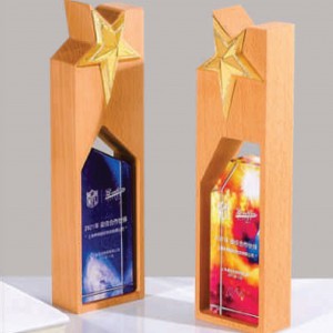 [Award Trophy] Exclusive Crystal Wooden Award