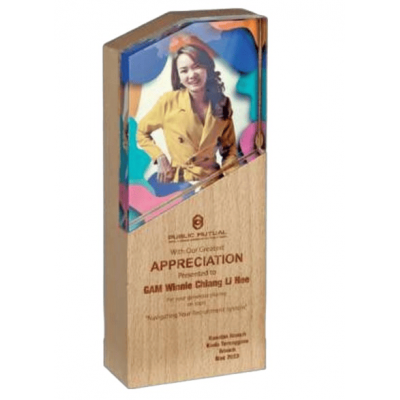 [Award Trophy] Exclusive Crystal Wooden Award - CW 9358