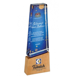 [Award Trophy] Exclusive Crystal Wooden Award - CW 9374