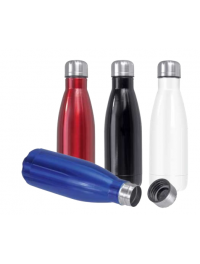 Stainless steel Sport Bottle